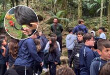 Da sala de aula para a natureza: estudantes conhecem o REVIS de Itapema