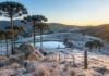 Frio continua em Santa Catarina neste domingo com mínimas negativas e geada