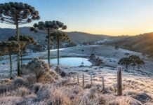 Frio continua em Santa Catarina neste domingo com mínimas negativas e geada