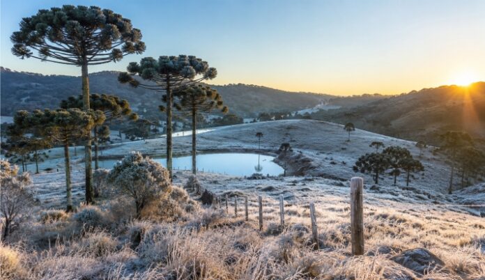 Frio continua em Santa Catarina neste domingo com mínimas negativas e geada
