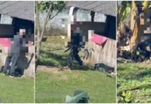 Polícia Civil investiga morte de dois filhotes em possível caso de maus-tratos em Joinville