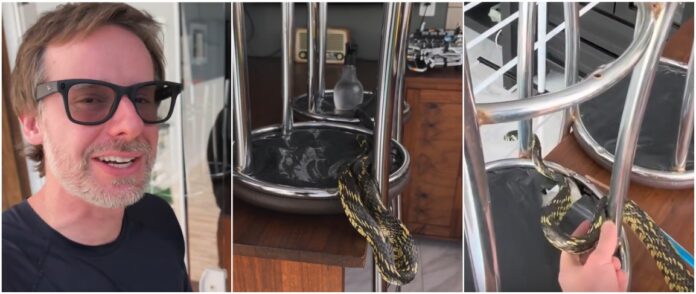 Caninana de quase 3 metros aparece dentro de cozinha em residência de SC