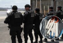 Chamado por violência doméstica termina com apreensão de 10 explosivos em Criciúma