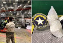Cocaína é localizada em carga internacional antes de embarque no Porto de Itapoá