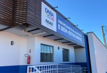 DABA abre agendamento para mutirão gratuito de castração de cães e gatos em Itapema