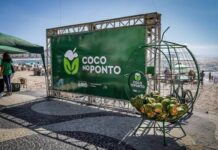 Câmara de Itapema aprova programa para reciclagem e reaproveitamento do coco verde