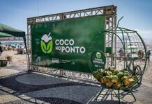 Câmara de Itapema aprova programa para reciclagem e reaproveitamento do coco verde