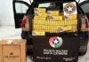 Motorista foge da polícia com 8 mil maços de cigarros, bate carro e tenta escapar por mata em SC