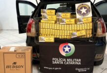 Motorista foge da polícia com 8 mil maços de cigarros, bate carro e tenta escapar por mata em SC