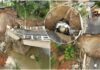Ponte desaba em Canelinha, carro cai no Rio Tijucas e acidente afeta abastecimento de água