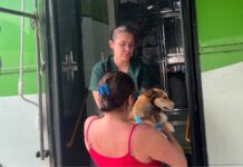 Porto Belo realiza 95 castrações de cães e gatos pelo programa Pet Levado a Sério