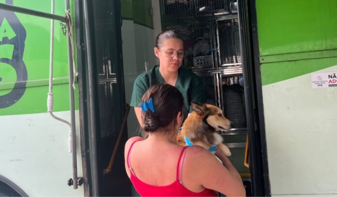 Porto Belo realiza 95 castrações de cães e gatos pelo programa Pet Levado a Sério