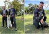Quatro cães superam histórico de maus-tratos e agora buscam um lar em Itapema