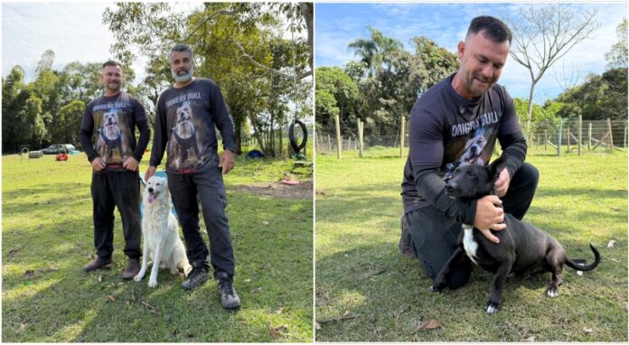 Quatro cães superam histórico de maus-tratos e agora buscam um lar em Itapema