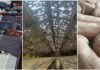 Temporal de granizo provoca estragos e mortes de animais no Oeste catarinense