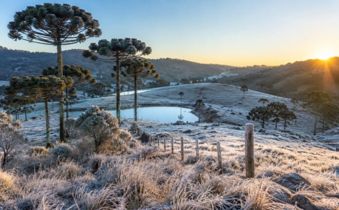 Frio intenso pode levar temperaturas a -2°C e provocar geada em Santa Catarina