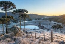 Frio intenso pode levar temperaturas a -2°C e provocar geada em Santa Catarina