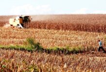 Pelo Estado 02/10: Carga tributária é o principal obstáculo para economia catarinense
