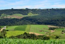 Pelo Estado 07/10: Agricultores e pescadores podem para receber apoio do SC Rural 2