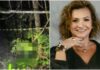 Professora é encontrada morta em área de mata no Oeste de SC; suspeito é preso