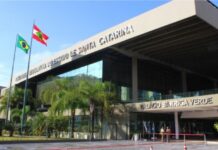 Santa Catarina elege cinco deputadas estaduais, recorde na história da Alesc; PL terá maior bancada